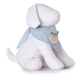 Birthday Cake Boy Bandana