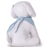 Birthday Cake Boy Bandana