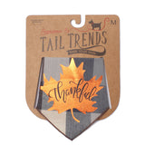 Thankful Leaf