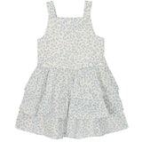 Sweet Savannah Dress