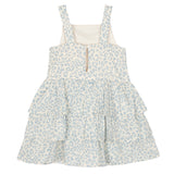 Sweet Savannah Dress