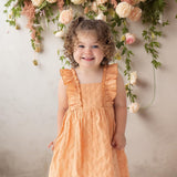 Clementine Orange Baby Toddler Dress