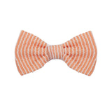 Sunkissed Apricot  Hair Accessory