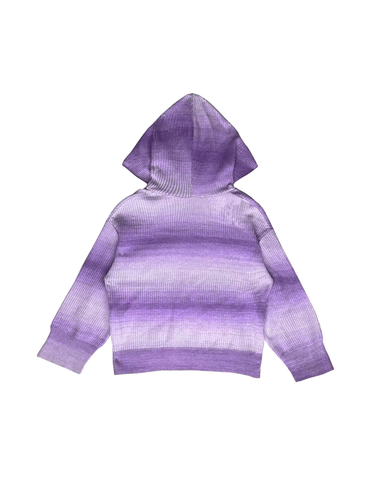 Tessa Long Sleeve Ombre Ribbed Knit Hooded Sweater