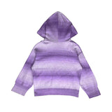 Tessa Long Sleeve Ombre Ribbed Knit Hooded Sweater