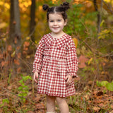 Valentina Long Sleeve Gingham Heart Embroidered Collar A Line Dress