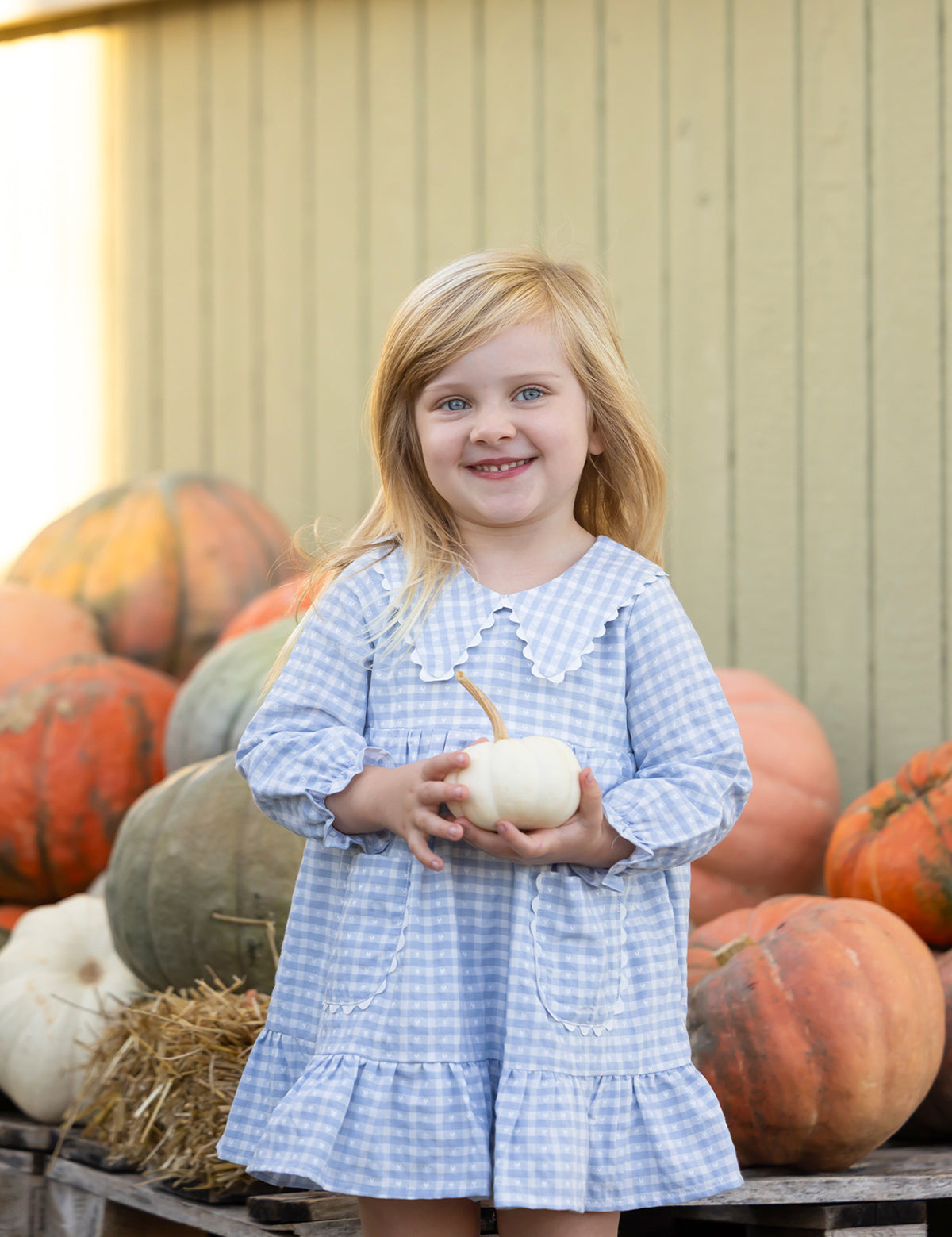 Ella Rae Long Sleeve Gingham Peter Pan Collar Tiered Dress