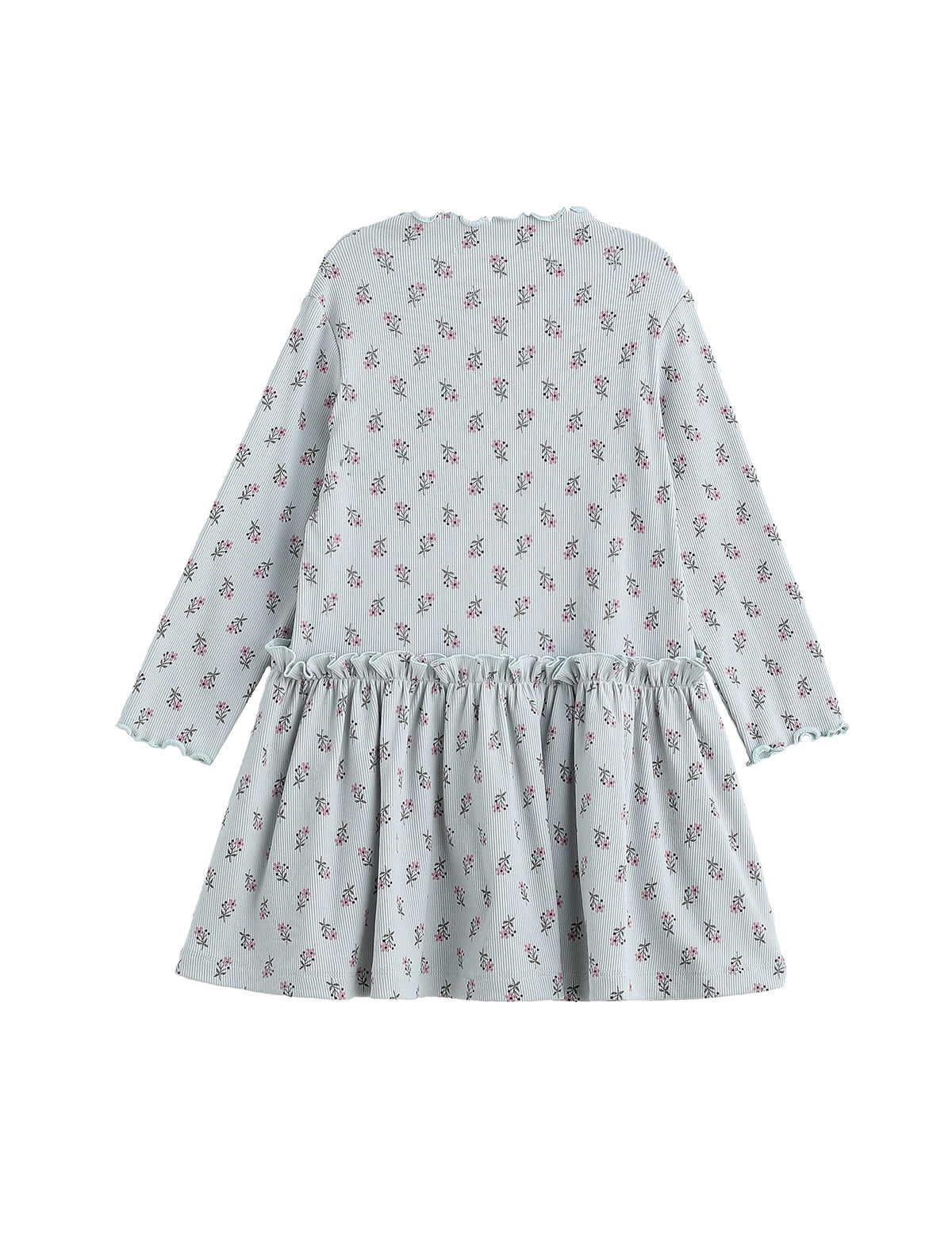 Petite Petal Long Sleeve Floral Ruffle Trim Dropwaist Dress