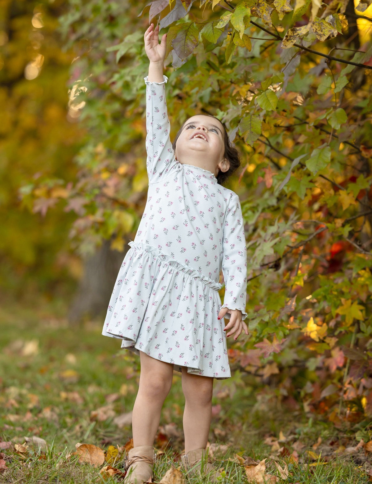 Petite Petal Long Sleeve Floral Ruffle Trim Dropwaist Dress