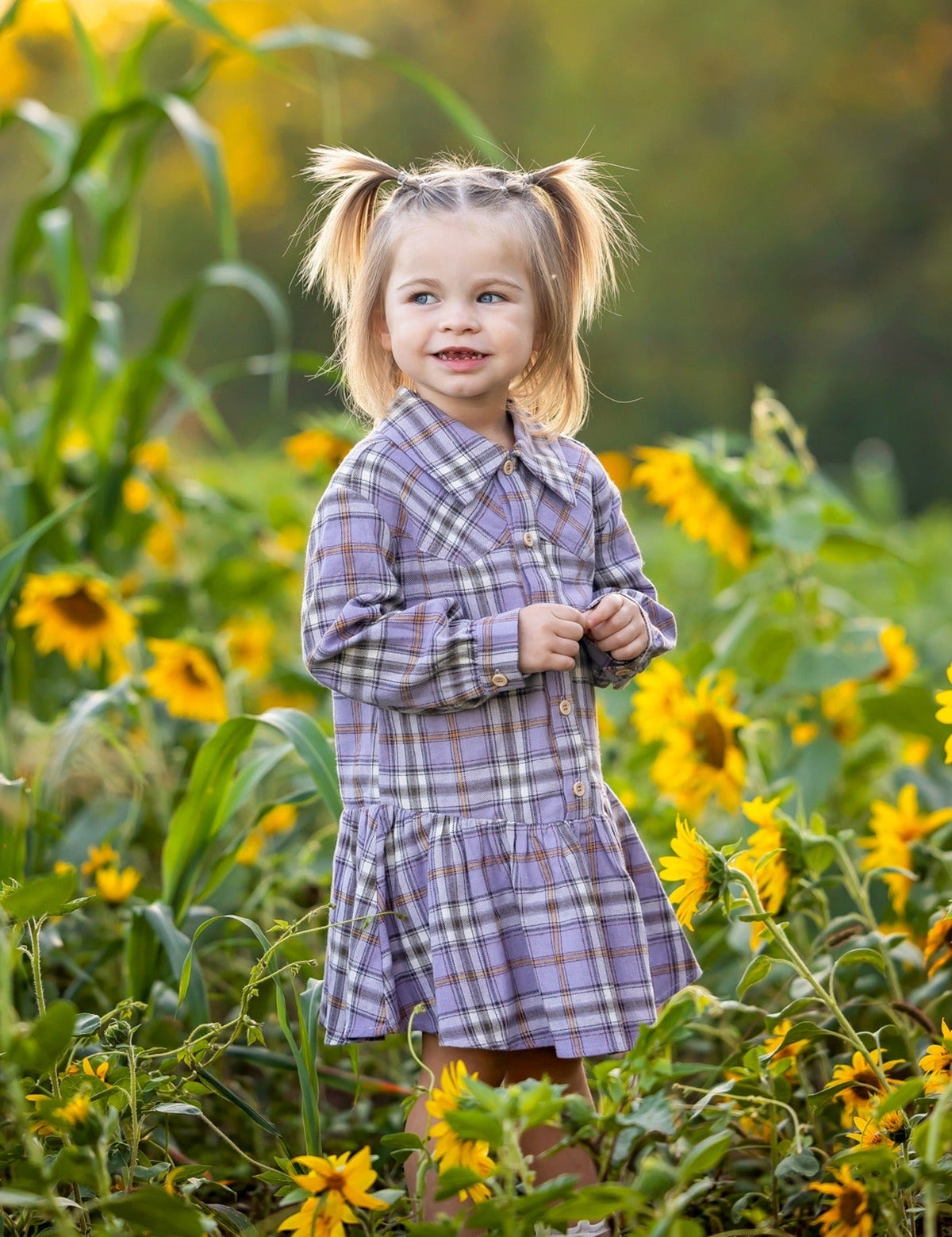 Char Long Sleeve Plaid Collared Drop Waist Dress