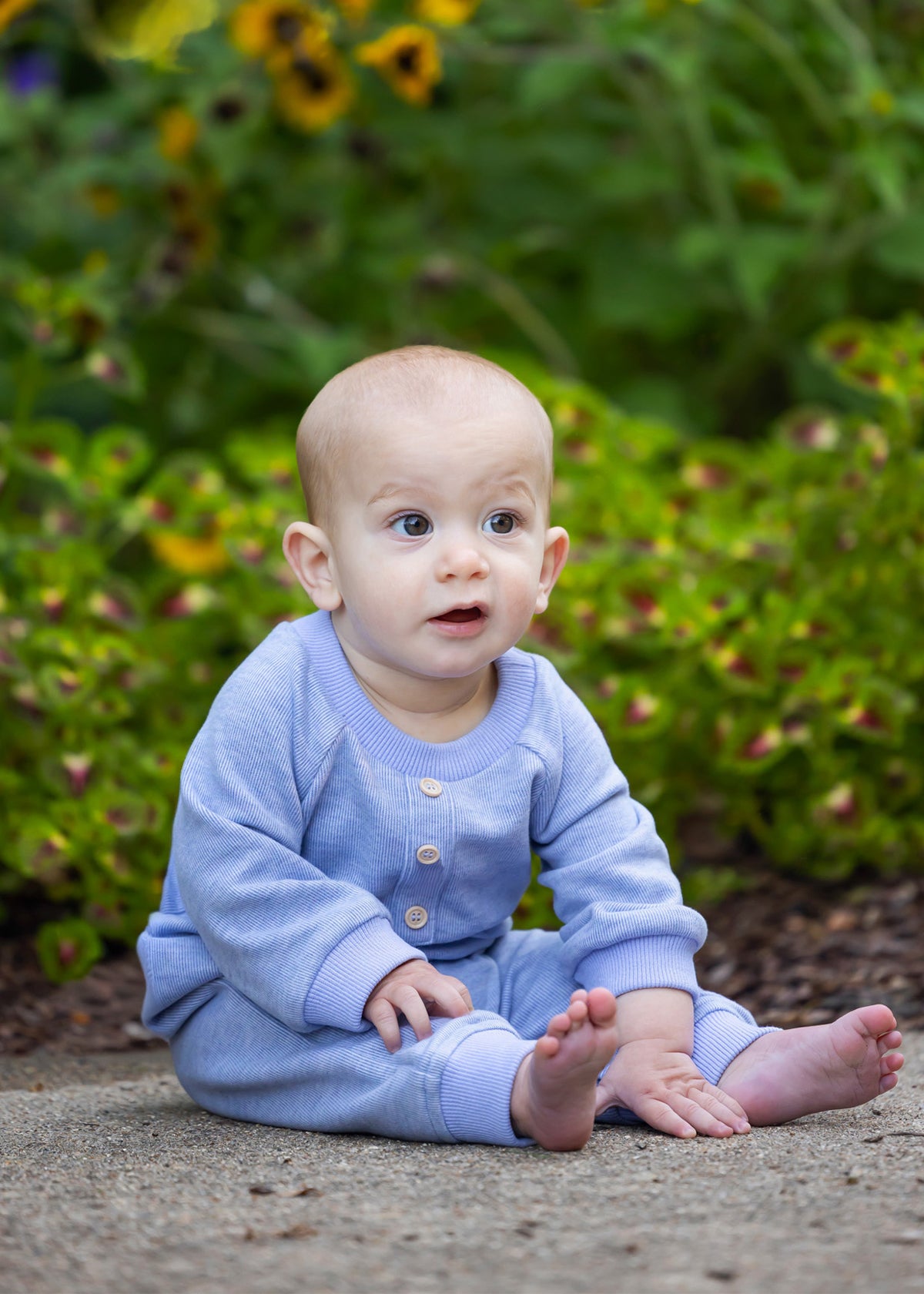 A baby wearing the Beckett and Bear Daniel Long Sleeve Solid Ribbed Button Placket Straight Leg Romper in heathered blue sits on a path surrounded by green plants and yellow flowers, gazing upward with a curious expression.