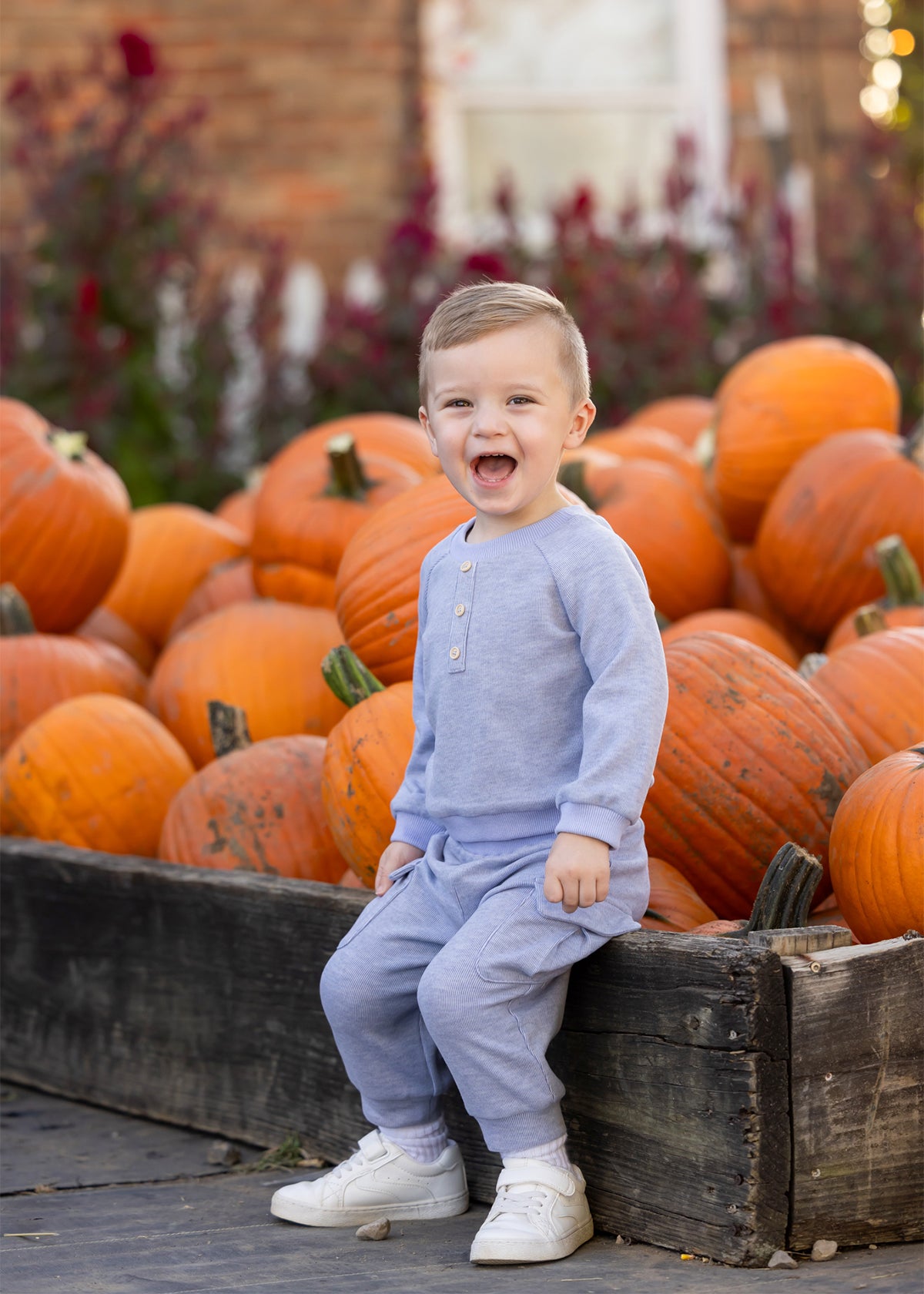 A young child in the Beckett and Bear Daniel Long Sleeve Solid Henley Cargo Jogger Set sits on a wooden box filled with pumpkins, smiling and laughing outdoors on a sunny day.