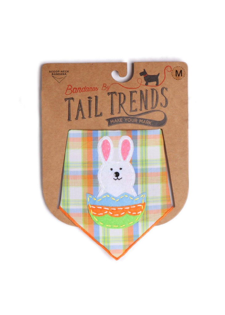 Easter Bunny on Egg - Carousel Brands