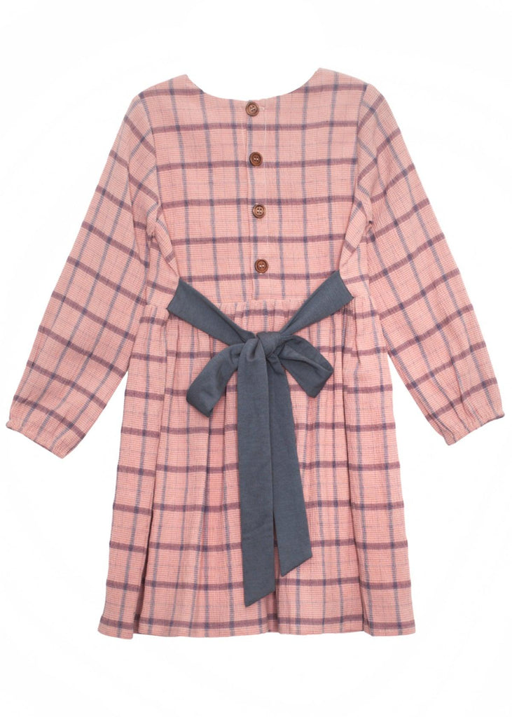 Into the Field Woven Pink Plaid Dress - Carousel Brands