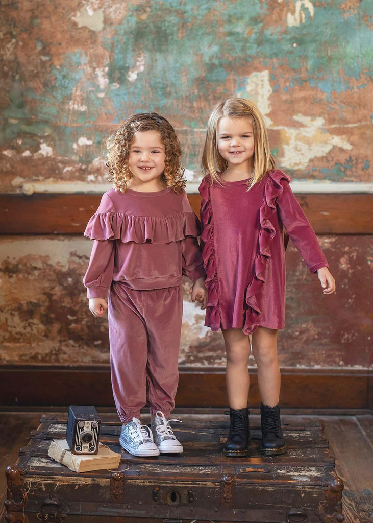 Sugar Plum Velvet Dress - Carousel Brands